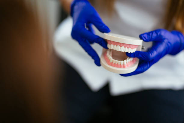 Reliable Strasburg, VA Holistic Dental Care Services Solutions